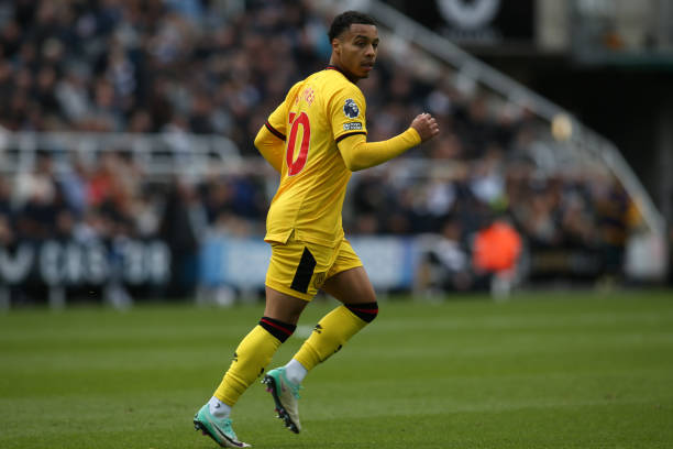 会进一步提 会进一步提